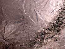 detail of leaves in textured glass door panel